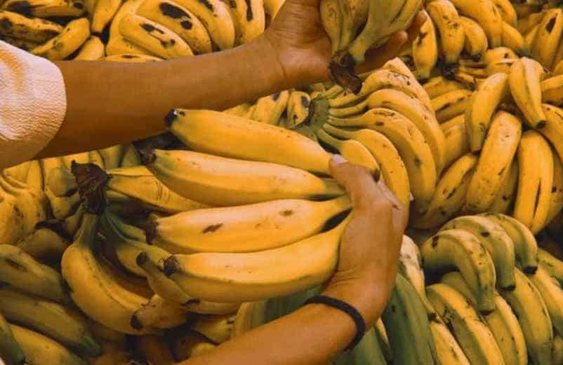 Comment optimiser l'assimilation de ces minéraux ? IRASF Santé