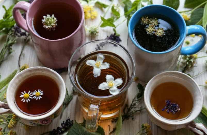 Le recours ponctuel aux essences végétales-IRASF Santé